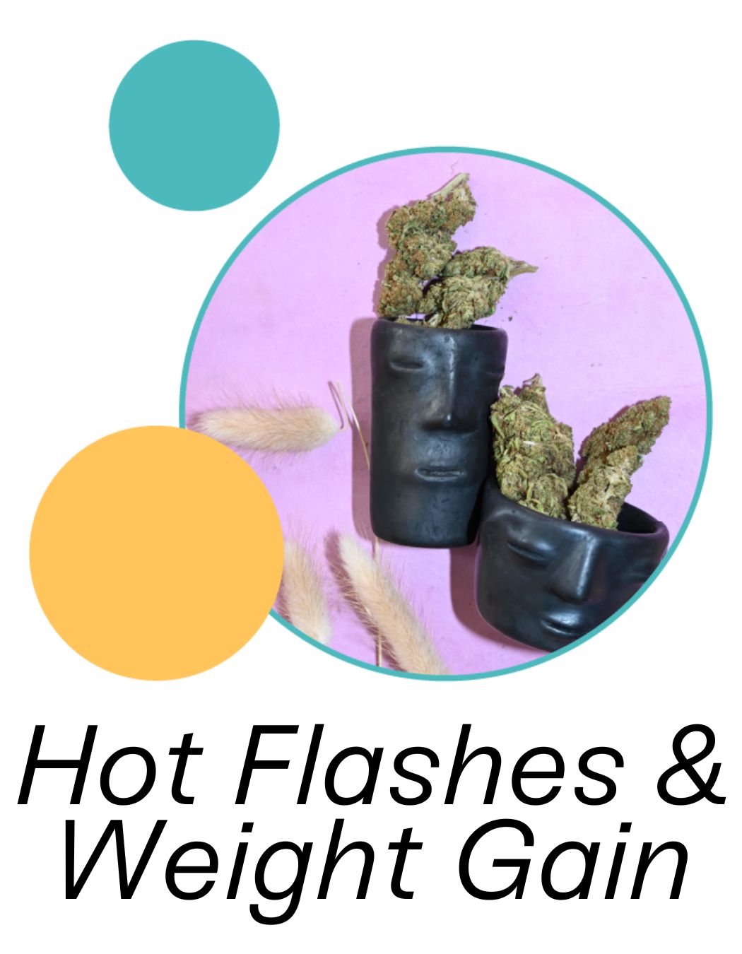 Menopause 101: Sleep, Hot Flashes, Weight Gain + Cannabis